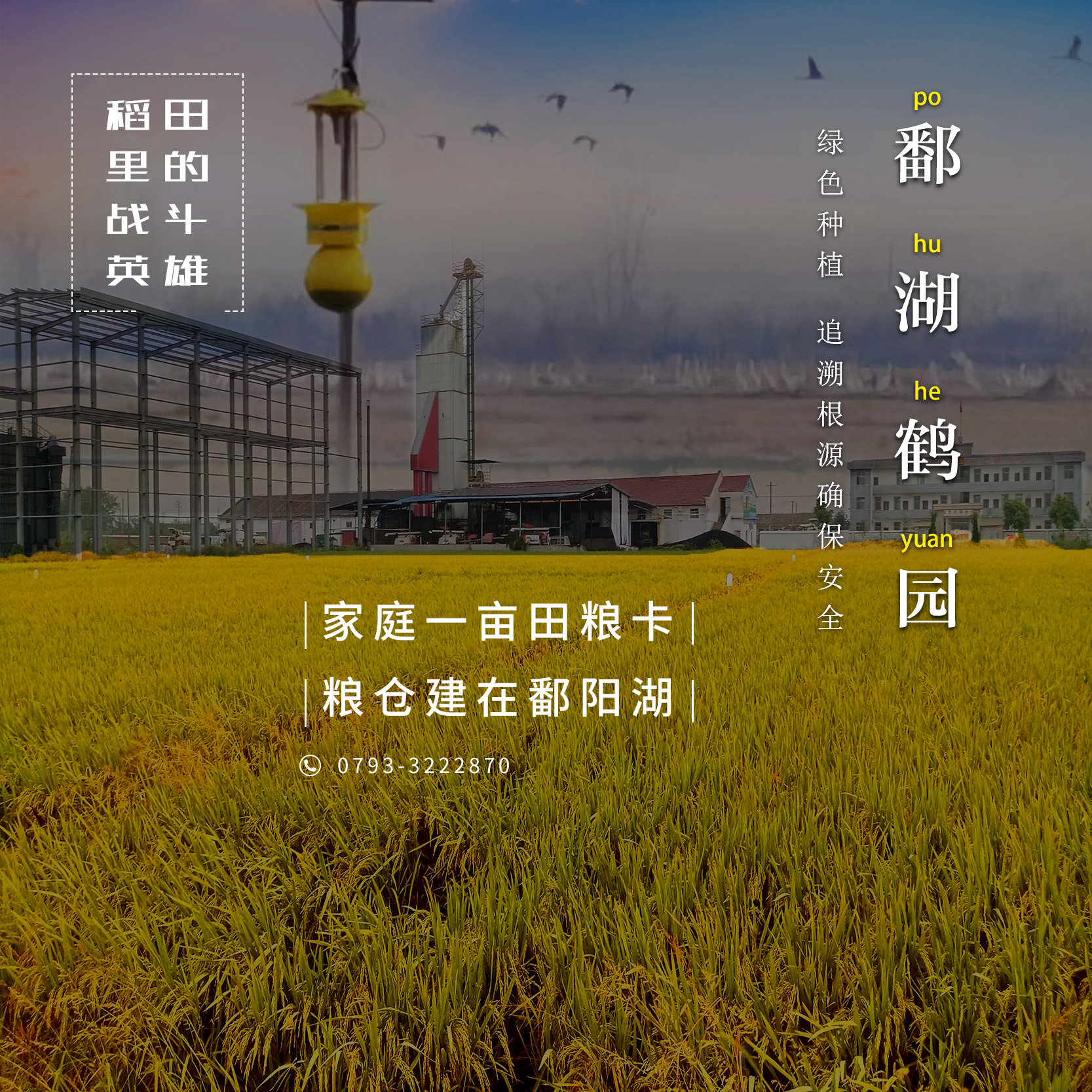 募集#&#鄱陽湖一畝良田的主人啦！